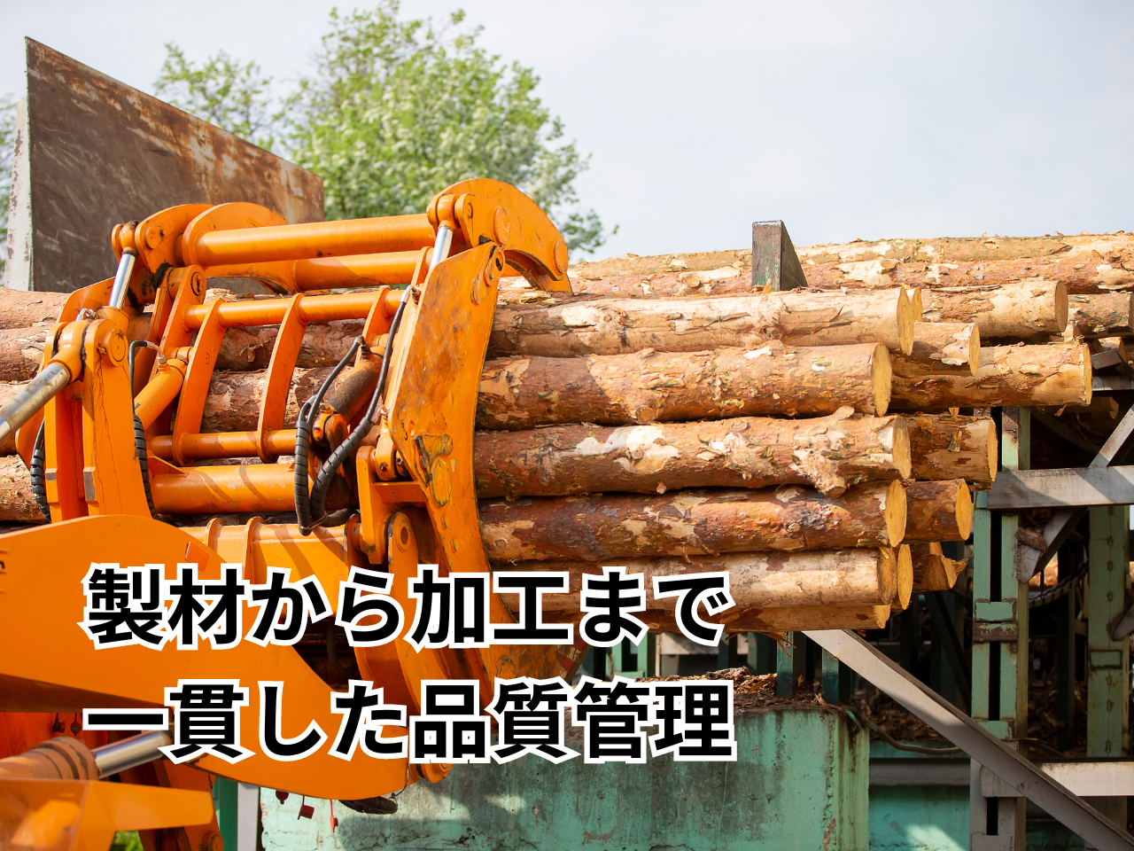 KM森林貿易株式会社